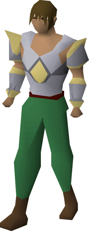 Armadyl chestplate equipped male.png