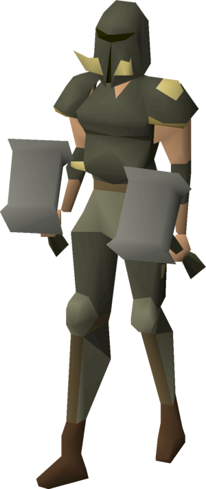 Torag's armour equipped female.png