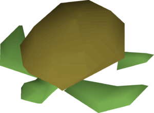 Raw sea turtle detail.png